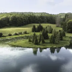 Vue aérienne d'un lac paisible dans le Jura, entouré de prairies verdoyantes et de forêts denses.