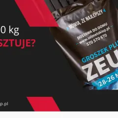 Worek węgla 20 kg - ile kosztuje i kiedy się opłaca? Groszek Plus Zeus.