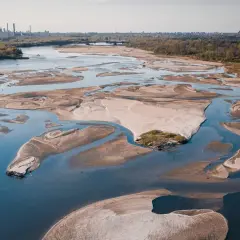 Widok z lotu ptaka na rozległe piaszczyste łachy i meandrujące koryta rzeki, ukazujący niski stan Wisły. W tle majaczy panorama miasta.