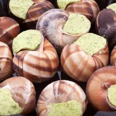 Secret de chef : réussir un beurre d'escargot gastronomique parfait