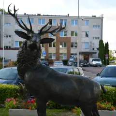 Rzeźba jelenia: piękne przykłady i gdzie je kupić w Polsce