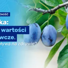 Ile kcal ma śliwka? Zaskakujące różnice między świeżymi a suszonymi