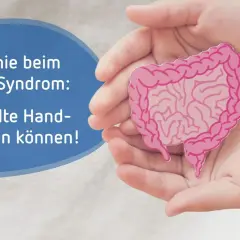 Hände halten ein Darmmodell. Osteopathie beim Reizdarm-Syndrom: Gezielte Griffe können Linderung bringen.