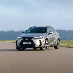 Srebrny Lexus UX 300h na pustej drodze, otoczony polami i lasem w tle.