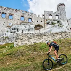 Rowerzysta pokonuje wzgórze na tle ruin zamku na Szlaku Orlich Gniazd.