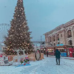 Weihnachtsmarkt mit beleuchtetem Baum, Rentier-Deko und Buden. Hier wird Weihnachten gefeiert, mit Schnee und Lichterglanz.
