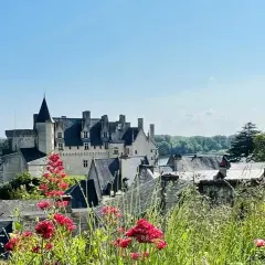 Vue d'un château sur une colline, avec des fleurs rouges au premier plan. Une belle journée pour une visite à Saumur.