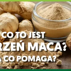 Korzeń maca i jego proszek na drewnianym blacie. Dowiedz się, co to jest korzeń maca i na co pomaga.