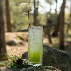 En uppfriskande granskottssirap drink med is, dekorerad med en torkad blomma och en kotte på en sten i skogen.