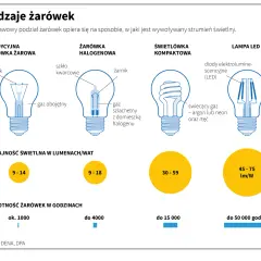 Gdzie wyrzucić żarówki? Rodzaj ma znaczenie! Poradnik eksperta