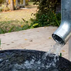Metalowa rura odprowadza wodę z rynien do beczki. To dobre rozwiązanie, jakie rury do odprowadzenia wody z rynien wybrać, by skutecznie zbierać deszczówkę.