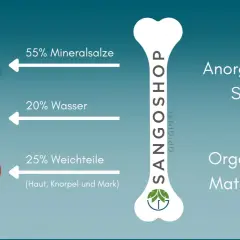Grafik zeigt Zusammensetzung des menschlichen Knochens: 55% Mineralsalze, 20% Wasser, 25% Weichteile. Wichtig für den Knochenaufbau Mensch.