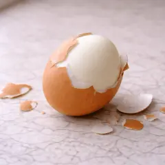 Un œuf dur à moitié écalé, sa coquille brune craquelée laissant apparaître le blanc lisse. Des éclats de coquille jonchent la surface.