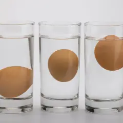 Trois verres d'eau montrent un œuf qui flotte à différents niveaux. L'œuf coule dans le premier verre, flotte au milieu et est presque entièrement hors de l'eau dans le troisième.