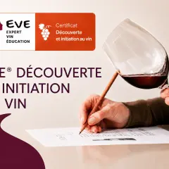 Un cours d'oenologie pour découvrir et s'initier au vin. Un verre de vin rouge est tenu par une main, tandis qu'une autre écrit sur un document.