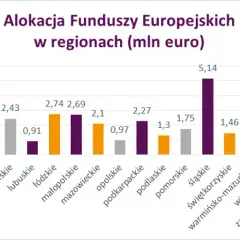 Regionalne programy dofinansowań: co to jest i jak zdobyć środki?