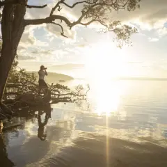 A photographer captures the serene beauty of golden hour by a tree with exposed roots, its branches reaching towards the sunlit water.