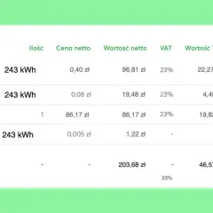 Przykładowy rachunek za prąd: sprzedaż energii 243 kWh, opłata za obsługę, dystrybucyjne i akcyza. Razem 250,25 zł.