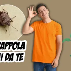 Cimice asiatica in primo piano, con testo "TRAPPOLA FAI DA TE". Uomo sorridente fa segno OK, mano verde tiene piantina.