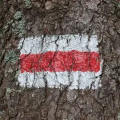 Czerwony szlak w górach: Główna trasa, nie trudność! Poznaj prawdę