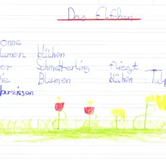 Ein Elfchen-Beispiel mit Sonne, Blumen, Schmetterling und Tulpen. Die Sonne scheint, Blumen blühen, ein Schmetterling fliegt.