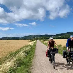 A couple enjoys a scenic bike tour in Sweden, cycling past golden fields under a bright, cloudy sky. A small dog peeks from a basket on one bike.