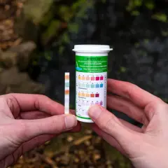 Test de dureté de l'eau pour savoir comment augmenter la dureté de l'eau. Les couleurs changent sur la bandelette.