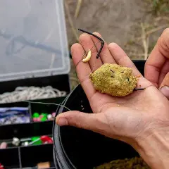Jaki pellet na haczyk? Sekrety wyboru i montażu na karpia, leszcza