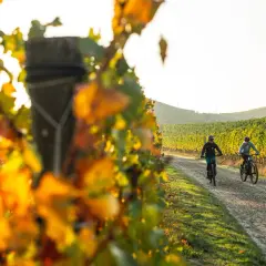 Due ciclisti pedalano su un sentiero sterrato tra i vigneti nelle Langhe, con le foglie autunnali che creano un vibrante contrasto.