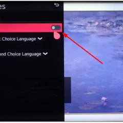 Menu telewizora: jak wyłączyć napisy. Przełącznik "Napisy" jest włączony.