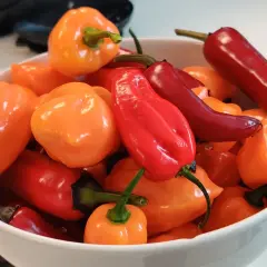 En skål med färgglada chilipeppar, både runda orange och avlånga röda. Dessa kan ha högt **chilli scoville**-värde.