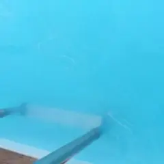 Un rouleau nettoie l'eau trouble d'un bassin bleu vif, laissant des traces blanches.
