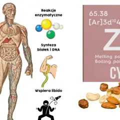 Cynk lek na co pomaga – odkryj jego niezwykłe właściwości zdrowotne