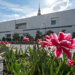 Muzeum sztuki współczesnej Warszawa: nowe miejsce, ciekawe wystawy