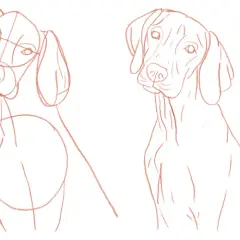 Hund malen einfach: Schritt-für-Schritt-Anleitung für Anfänger
