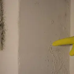 Żółta rękawiczka wskazuje na pleśń i łuszczący się tynk, oznaki wilgoci w domu.