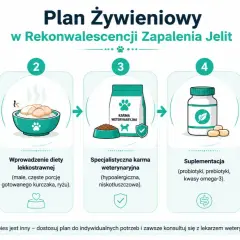 Plan żywieniowy dla psa po zapaleniu jelita grubego: post, dieta lekkostrawna, karma weterynaryjna, suplementacja i monitorowanie.