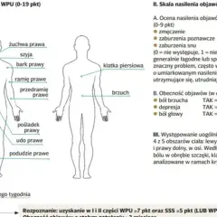 Schemat ciała z zaznaczonymi obszarami bólu, używany do oceny objawów fibromialgii.
