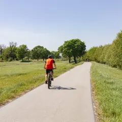 Rowerzysta na ścieżce wzdłuż zielonych łąk i drzew. Idealne miejsce na odkrywanie dolnośląskiej krainy rowerowej.