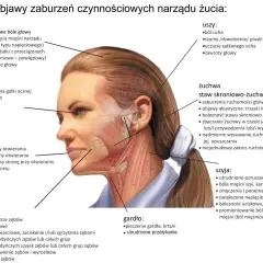 Ból szczęki, głowy, uszu, oczu, gardła, szyi, zębów i jamy ustnej to objawy zaburzeń narządu żucia.