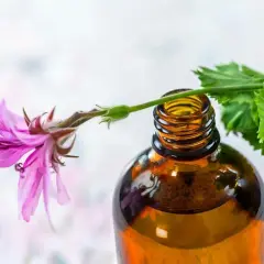 Olejek z geranium jak stosować: skuteczne metody i porady dla zdrowia