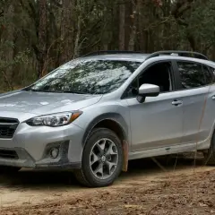 Srebrny Subaru Crosstrek na leśnej drodze, gotowy na przygodę.