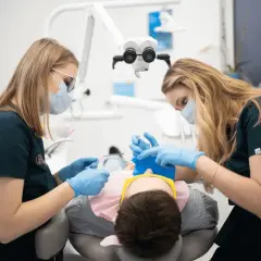 Dwie dentystki w maseczkach i rękawiczkach wykonują dłutowanie zęba u pacjenta pod mikroskopem.