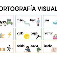 Ortografía visual: vaca, tubo, tuvo, ola, rallo, calló, cayó, votar, botar, valla, sabia, savia, hecho, echo.
