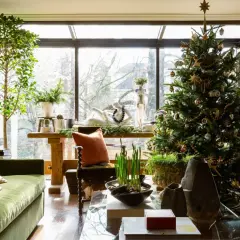 Cozy apartment Christmas decor features a decorated tree, green sofa, and a large window overlooking trees.