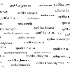 Różne rodzaje spółek: spółka jawna, akcyjna, z o.o., komandytowa, cywilna, partnerska.