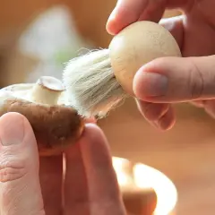 Manos limpian un champiñón con un cepillo, preparándolo para unos deliciosos champiñones al ajillo.