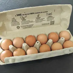Une boîte de **dlc oeufs** de poules élevées en plein air, avec des informations sur le bien-être animal et la biodiversité.