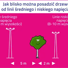 Ilustracja przedstawia linie energetyczne średniego i niskiego napięcia oraz drzewo z podanymi odległościami.