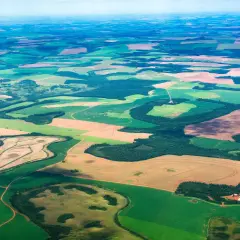 Rozległe, patchworkowe pola uprawne, zielone i brązowe, wiją się w krajobrazie. Tak wygląda teren, gdzie leży Paragwaj, z lotu ptaka.